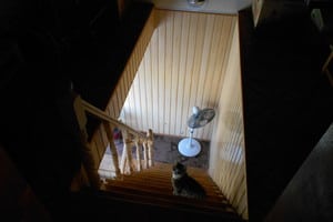 Карпаты зовут 2