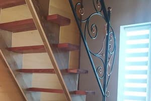 Карпатська Модринка 9