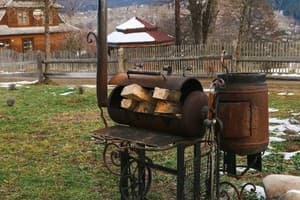 Карпатська Модринка 11