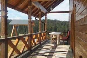 Частная усадьба Карпатська Модринка