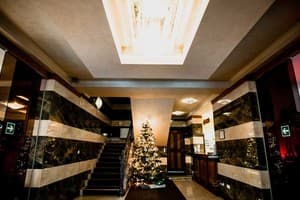 Карпатська Вежа 11