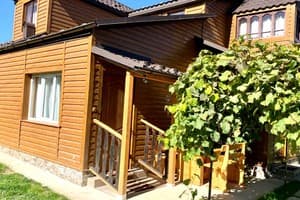 Коттедж Карпатська зустріч