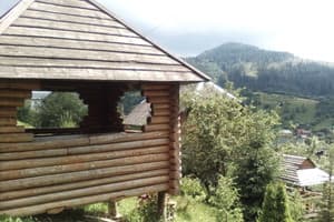 Карпатская Арника 2