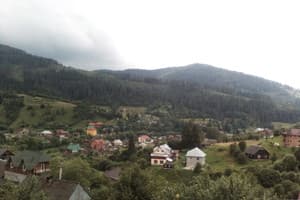 Карпатская Арника 1