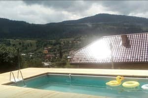 Карпатская Арника 11