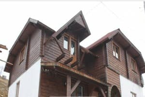 Карпатская Арника 6