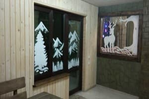 Карпатская Арника 12