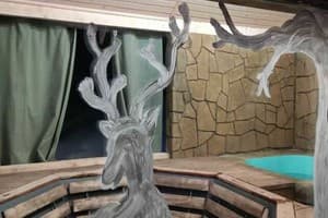 Карпатская Арника 8