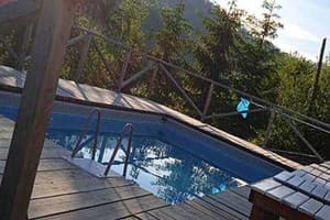 Карпатская Арника 10