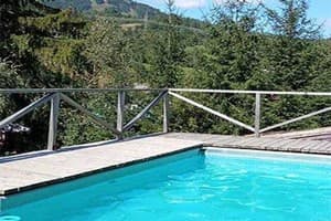 Карпатская Арника 14