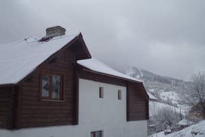 Частная усадьба Карпатская Арника