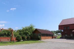 Карпатская орхидея 1