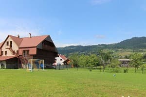 Карпатская орхидея 2