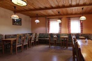 Карпатская орхидея 10