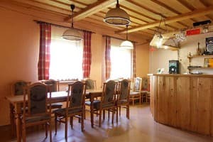 Карпатская орхидея 2