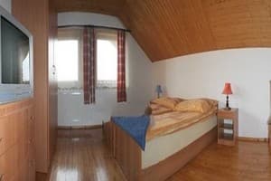 Карпатская орхидея 4