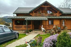Карпатське щастя 7