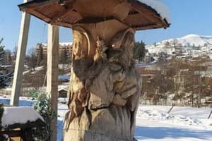 Карпатське щастя 5
