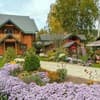Карпатське щастя 22-23/28