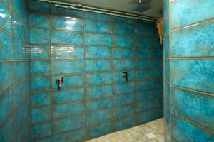 Карпатське щастя 13