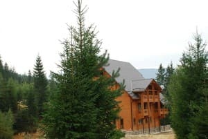 Карпатські Джерела 32