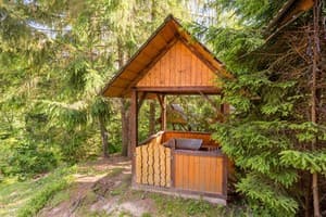Карпатські Джерела 16