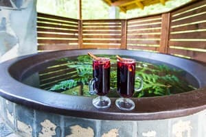 Карпатські Джерела 28