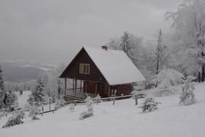 Карпатські полонини 21