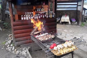 Карпатські полонини 29