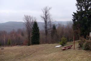 Карпатські полонини 9