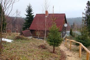 Карпатські полонини 4