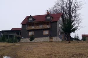 Карпатські полонини 3