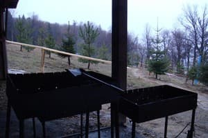 Карпатські полонини 26