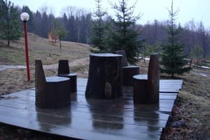 Карпатські полонини 10