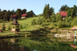 Карпатські полонини 10