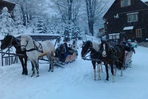 Карпатські полонини 20