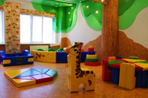 Карпатські зорі 12