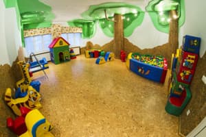 Карпатські зорі 15