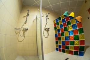 Карпатські зорі 6