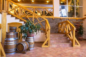 Карпатські зорі 4