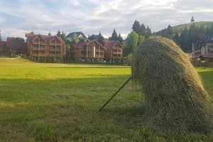 Карпатские Зори 15