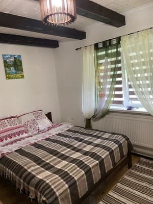 Карпатские мечты 10