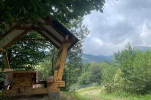 Карпатские мечты 16