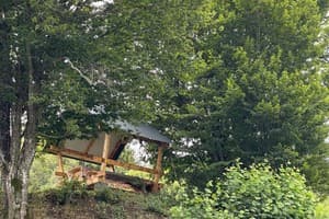 Карпатские мечты 18