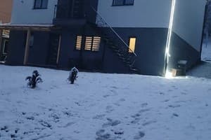 Карпатские мечты 14