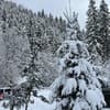 Карпатские мечты 24-25/26