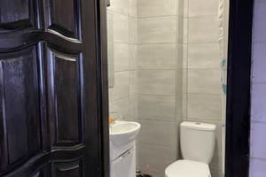 Частная усадьба Карпатские мечты. Эконом трехместный санузел на 2 номера 3