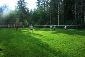 Карпатский Уют 4