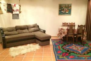 Карпатский домик 8