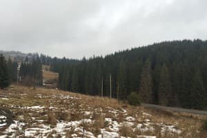 Карпатский домик 14